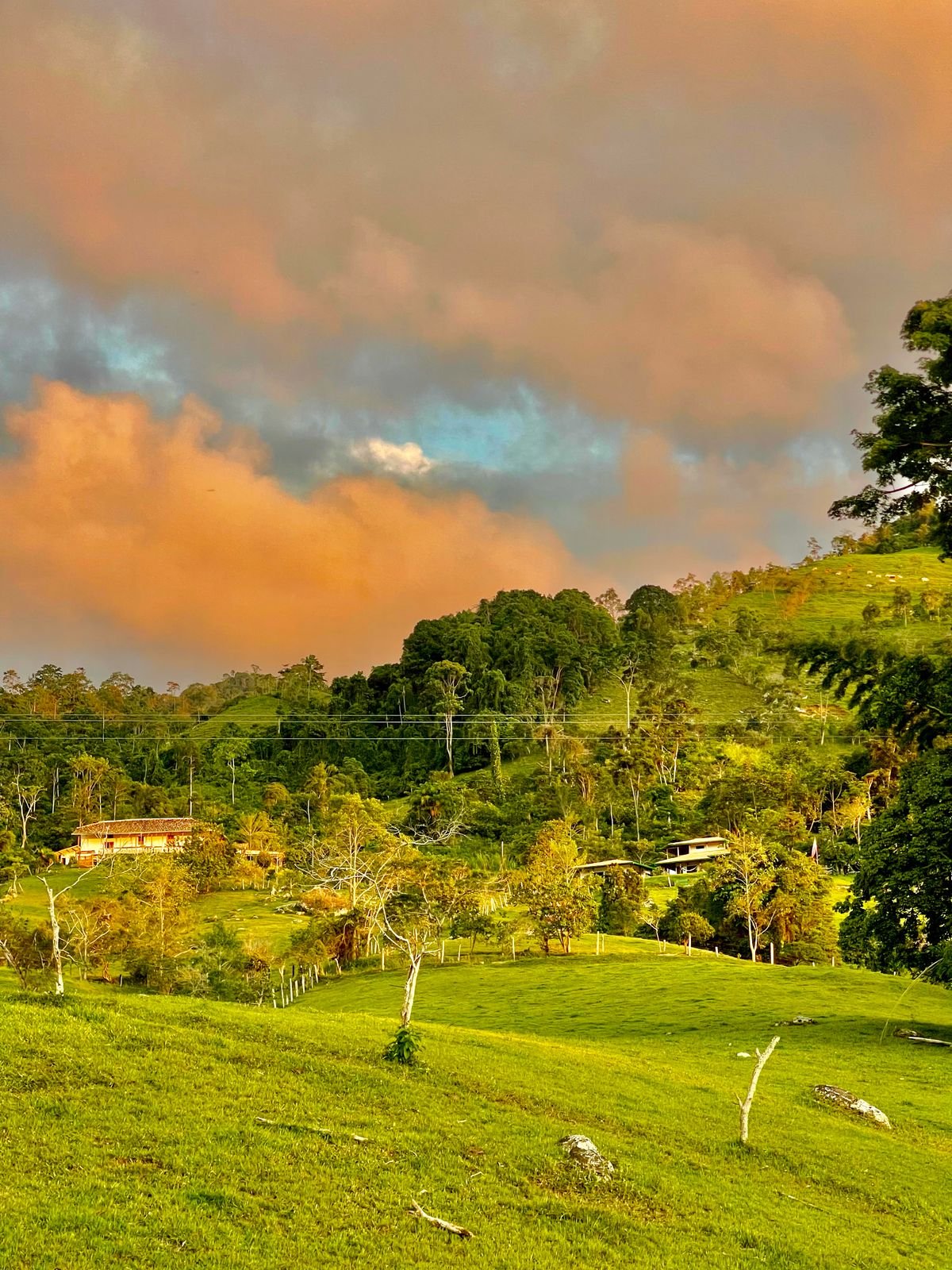 banner-image