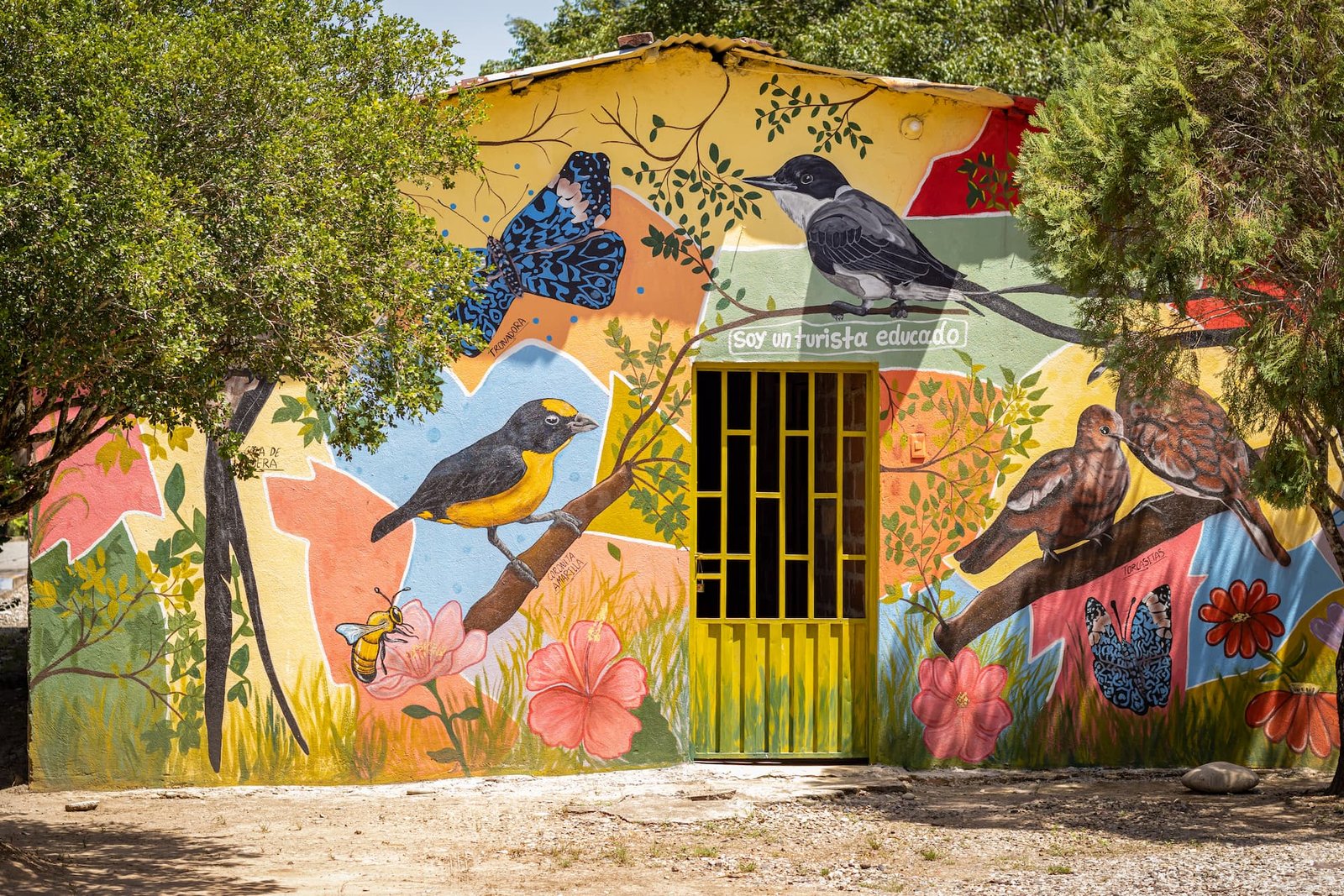 Murales comunitarios en La Playa, Región Topocoro